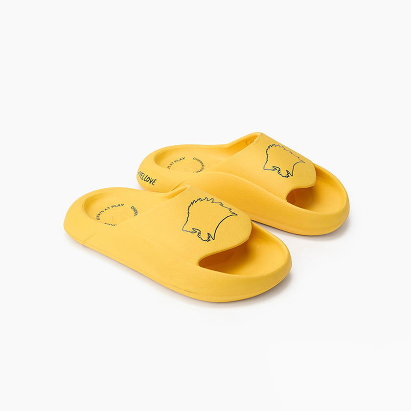 Sliders