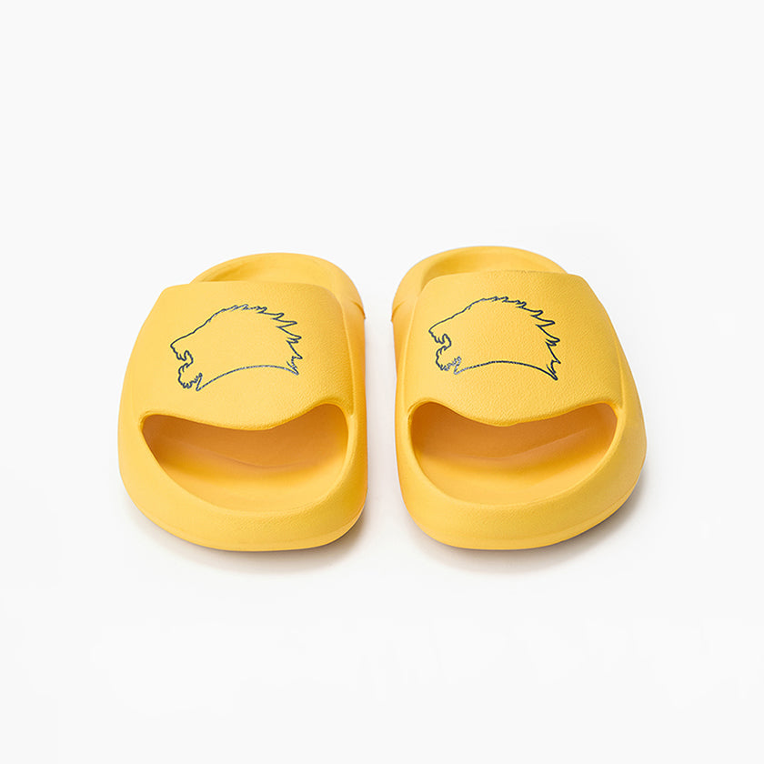 Sliders